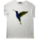 FIT  COLIBRI' M