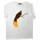 FIT BIRD PARADISO M