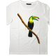 FIT TUCANO M