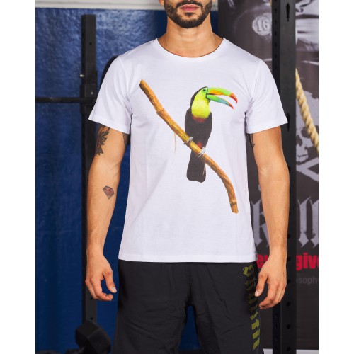 FIT TUCANO M