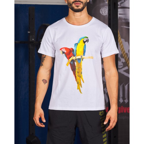 FIT  COPPIA PAPPAGALLI M