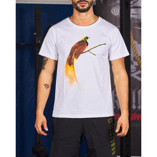 FIT BIRD PARADISO M