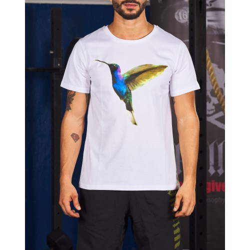FIT  COLIBRI' M