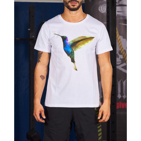 FIT  COLIBRI' M