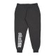 PANTS GRAY